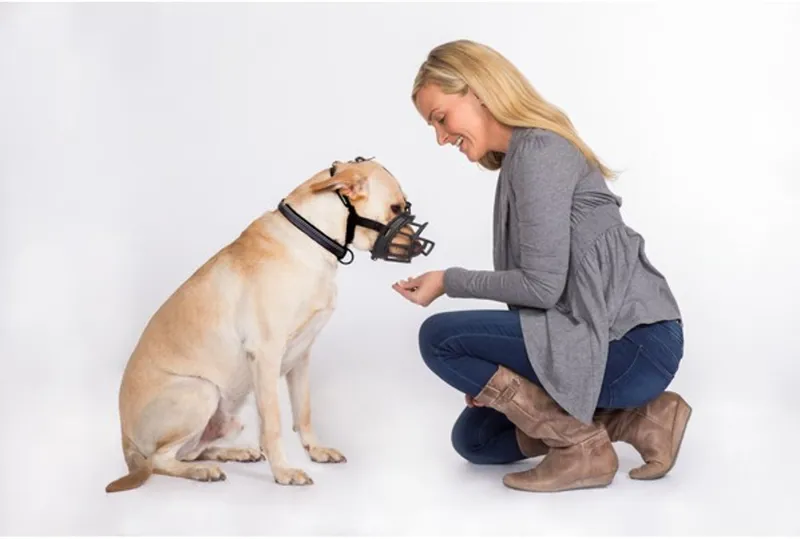 Baskerville Ultra Dog Muzzle-2